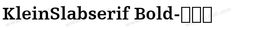 KleinSlabserif Bold字体转换